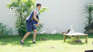 Vietsub Gaydar: Slutty Young Master & Lucky Houseboy