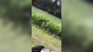 Samuel x Mot X Content: Echoes On The Field