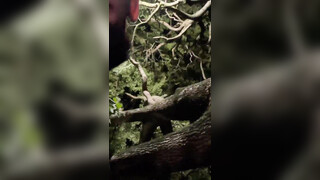 Vietnamese Boy Livestream Sucking Outdoor