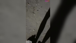 Handsome Boy Vietnam Livestream Sucking Outdoor