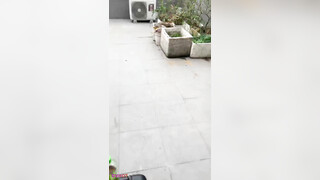 Vietnamese Boy Livestream Jerking Off On The Rooftop