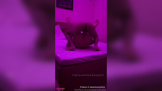 Caubedamdang2k5 Fucks University Student Bareback
