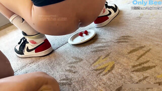 Dog trainer tank-024 cousins丨3M丨Coach