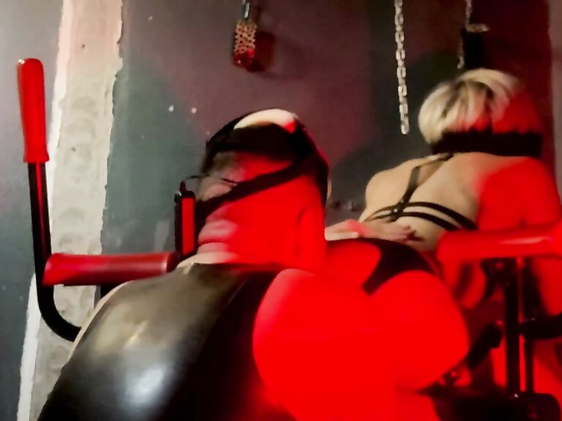 [OF] CHEESEBIITE – REDROOM