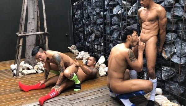Gay sex – All Starts